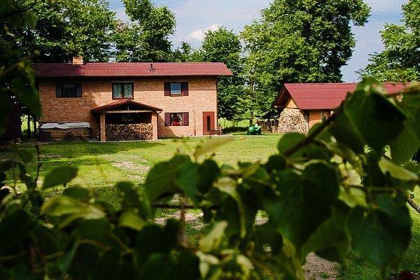 Usadba Bogach Hotell Kobrin Rum bild